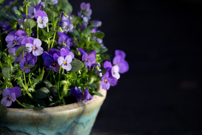 Frühling