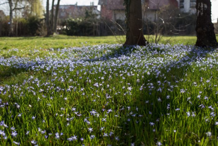 Frühling