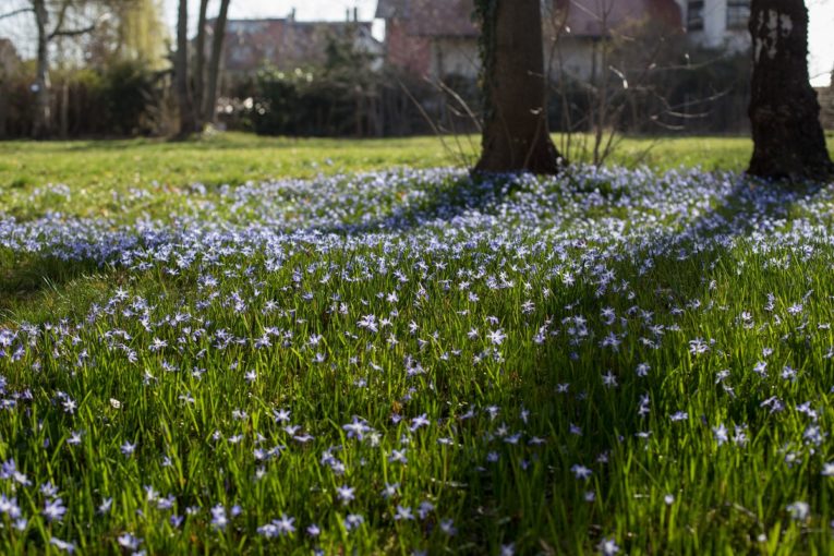 Frühling