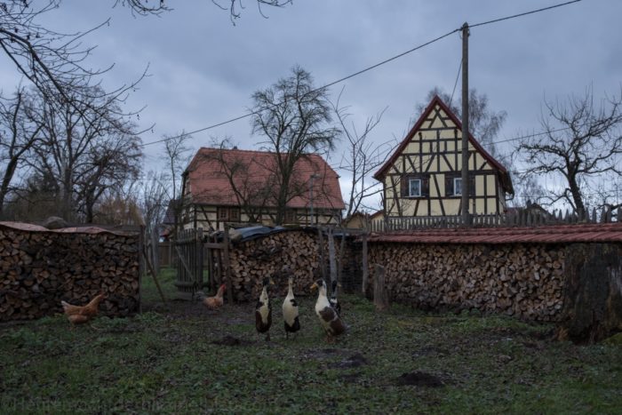 Dorf