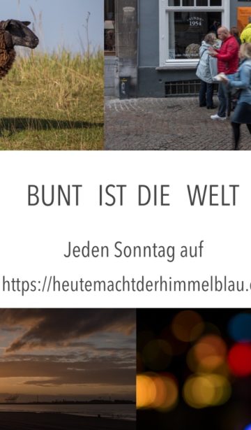 logo_bunt_ist_die_welt