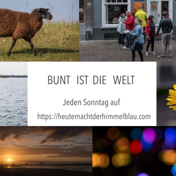 logo_bunt_ist_die_welt