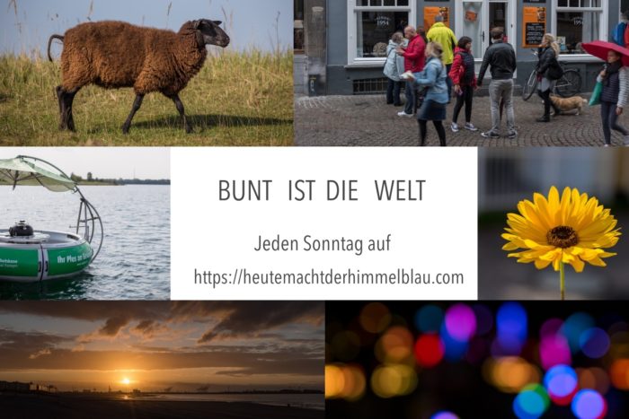 logo_bunt_ist_die_welt