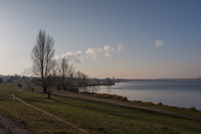 Januarsonne