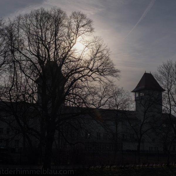 Licht