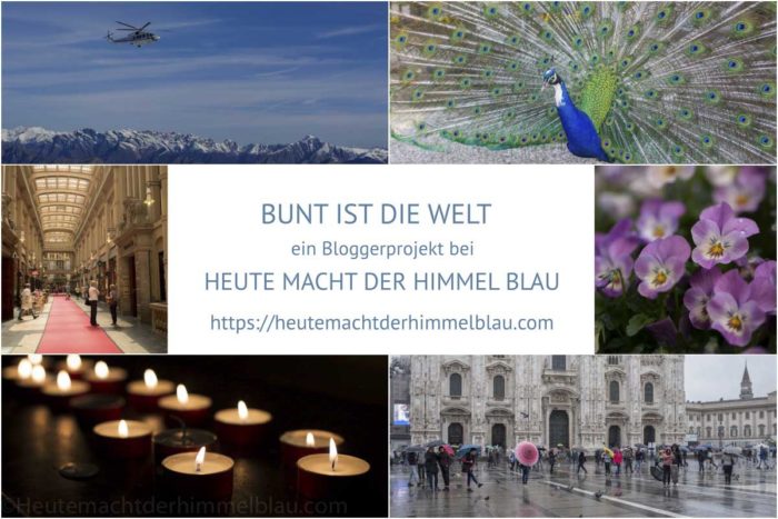 Logo Bunt ist die Welt