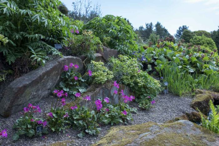 Royal Botanic Garden Edinburgh