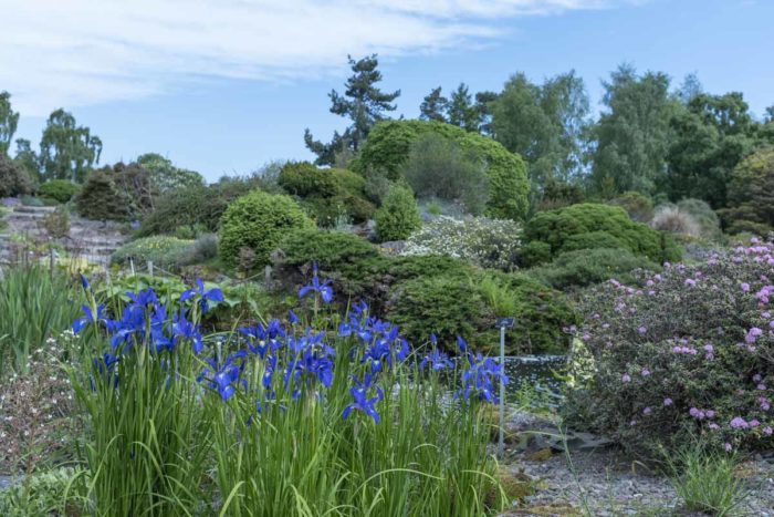 Royal Botanic Garden Edinburgh