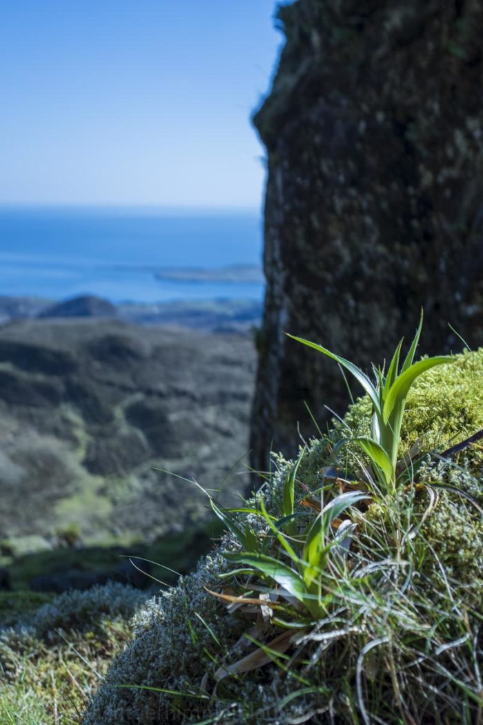 Quiraing