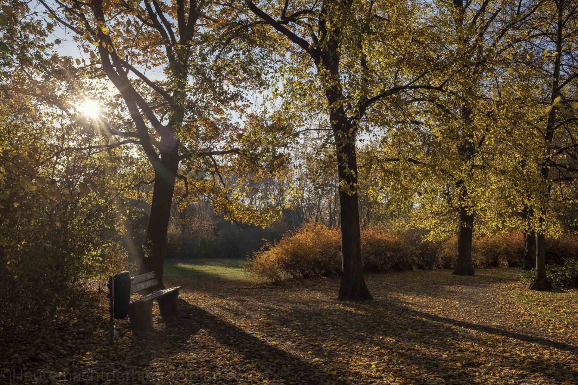 November