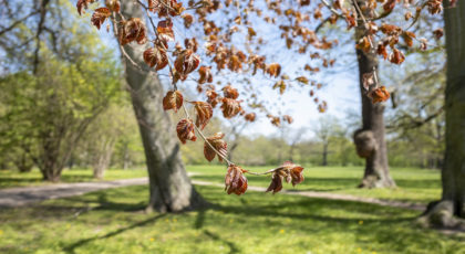 April
