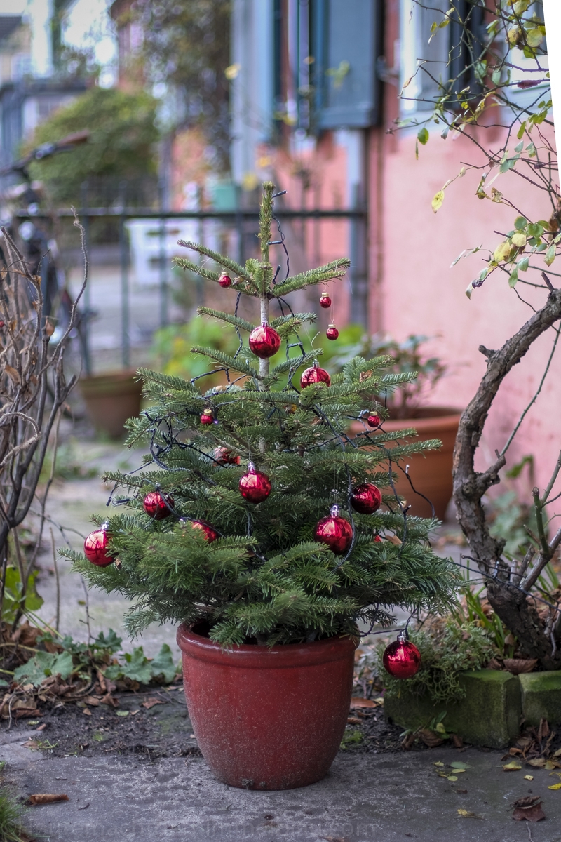 Weihnachten