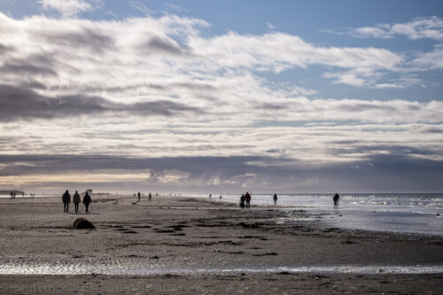 Strandspaziergang im Winter