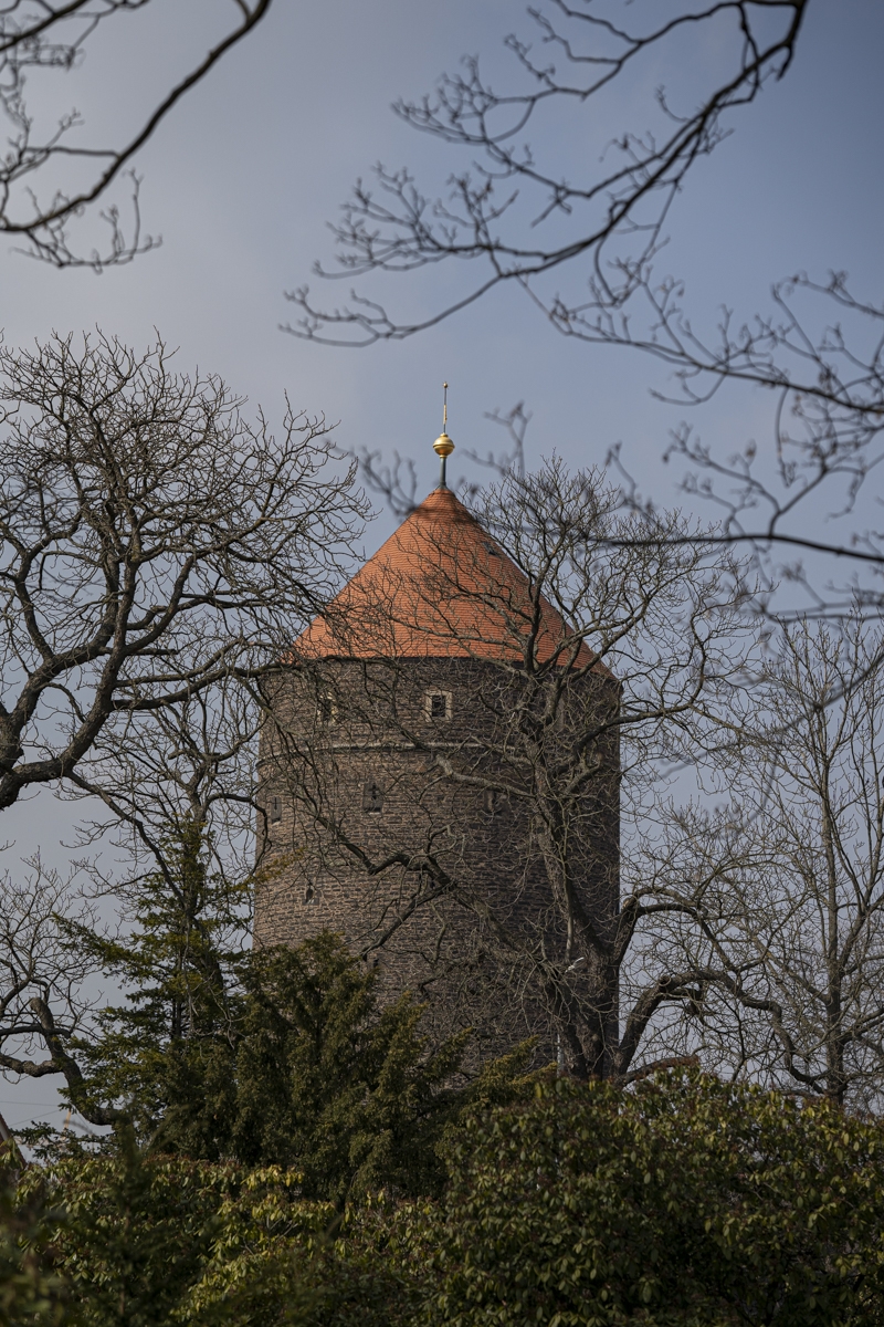 Freiberg Donatsturm