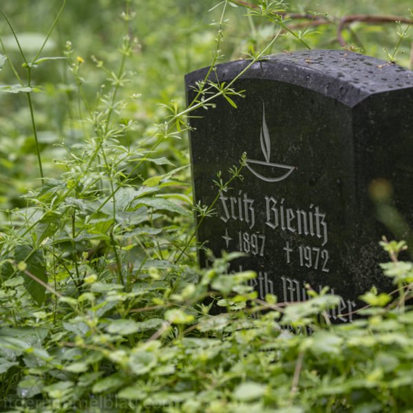 Alter Friedhof Dölitz