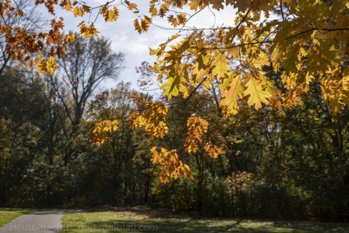 Monatscollage Oktober
