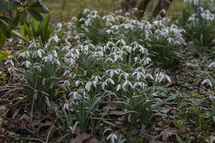 Februar