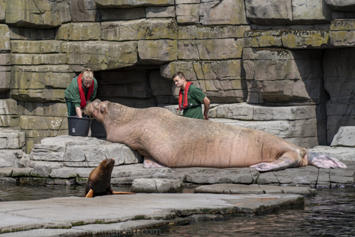Tierpark Hagenbeck