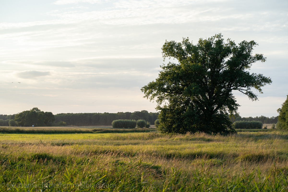 Der strahlende September