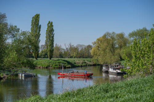 Blütengrund Naumburg (Saale)