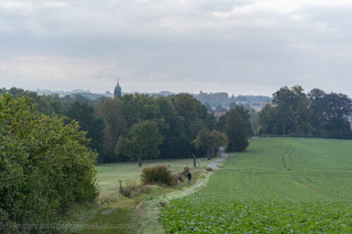 Wanderung Liebethaler Grund-Lochmühle-Lohmener Klamm-Malerweg