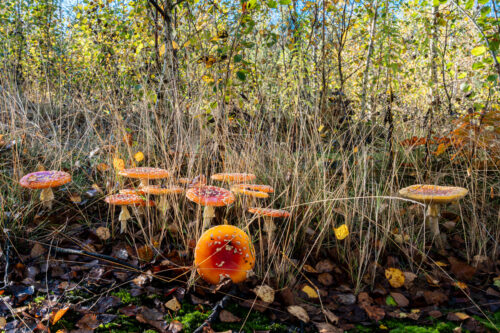 Monatsrückblick Oktober