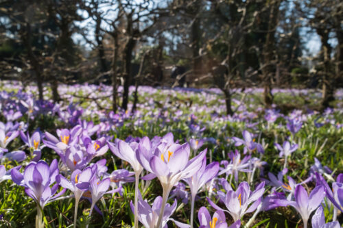 Monatsrückblick März