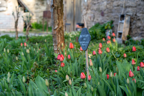Monatsrückblick April
